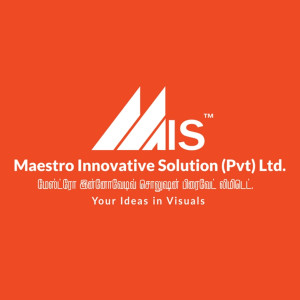 Maestro Innovative Solution Pvt Ltd